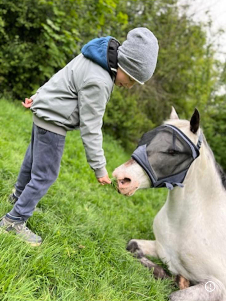 Kind sreichelt Pferd