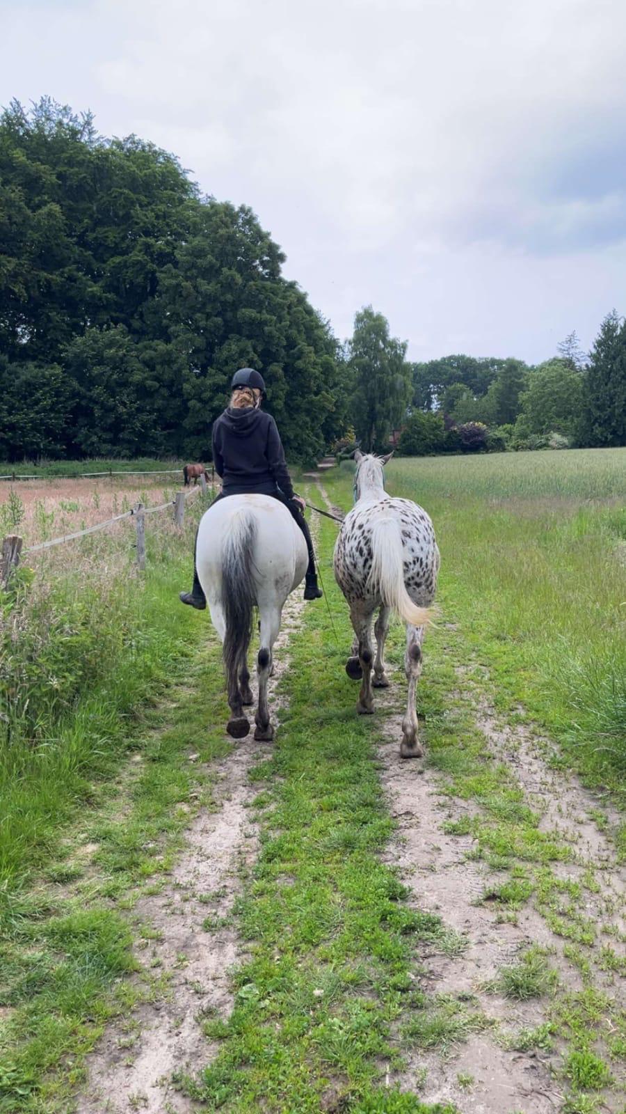 Frau reitet auf Pferd mit zweitem Pferd daneben